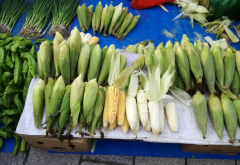 細節決定農貿市場改造實施的成敗